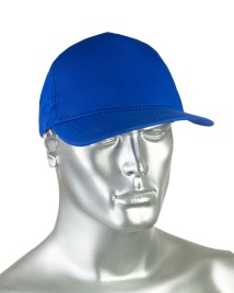 Кепка-бейсболка василёк пл.190 гр/м2